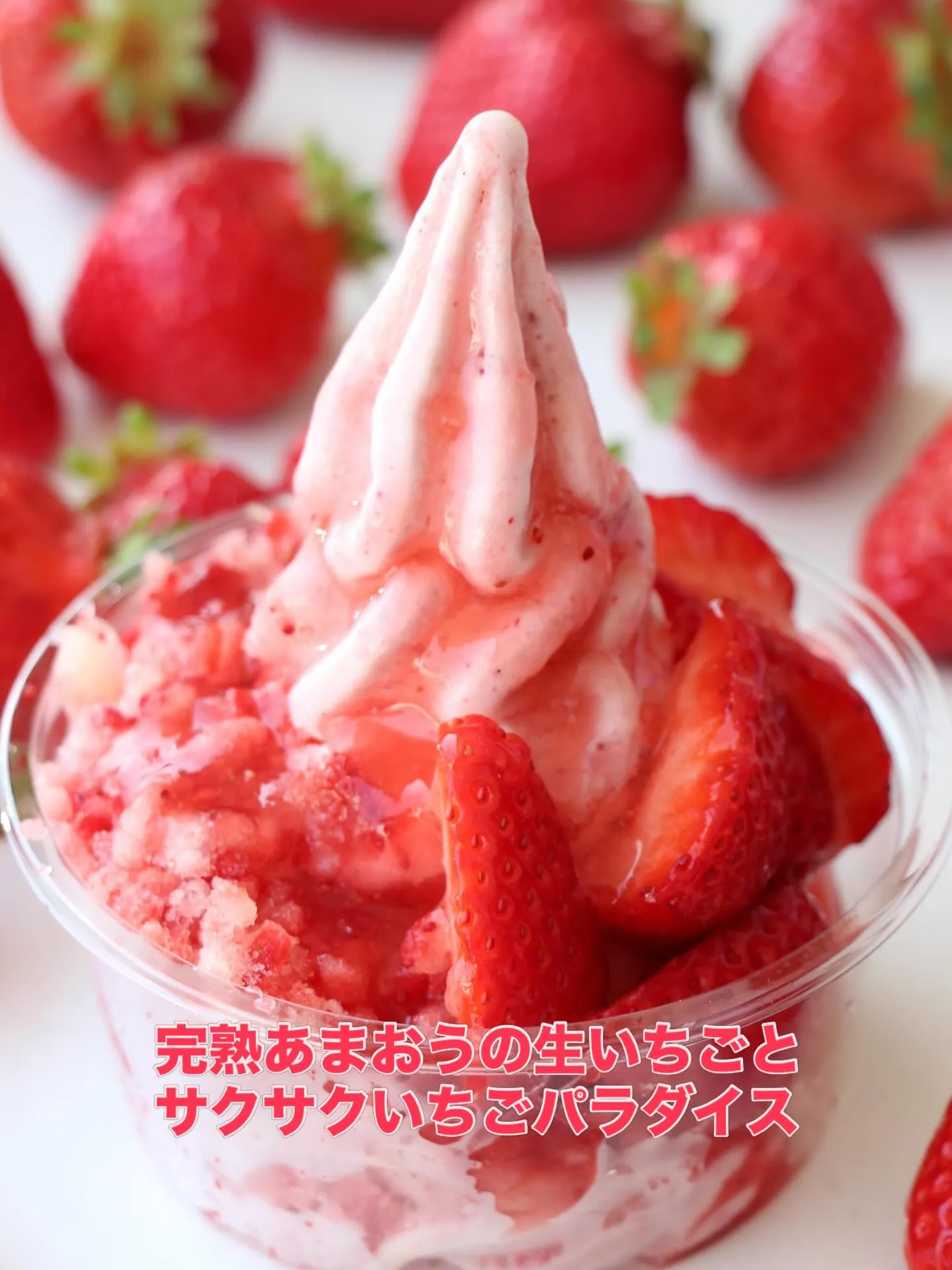 暑くなってきたのでこちらがおすすめです